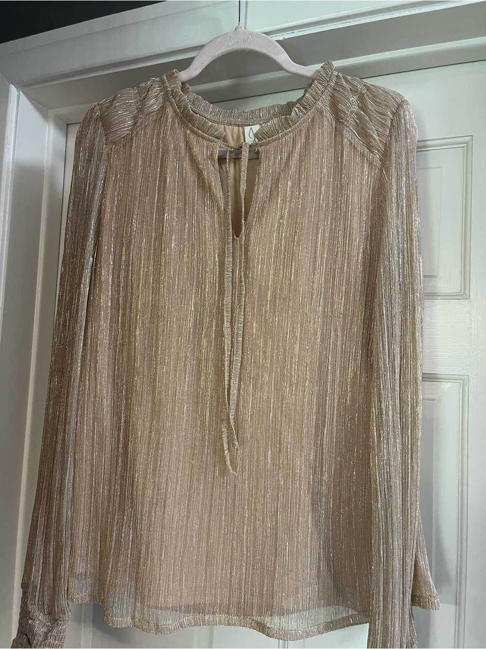 Eliza J Shimmery Champagne Long-Sleeve Tie-Neck Blouse Dress